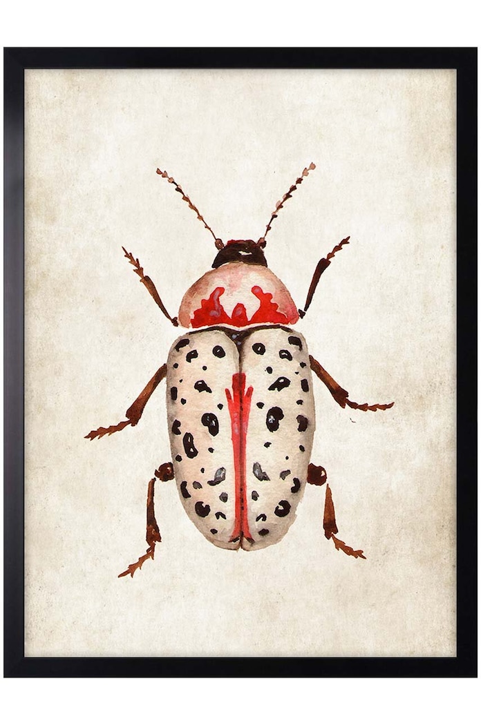 decor de perete pe hârtie înrămată 30x40 cm multicolor AN0034.