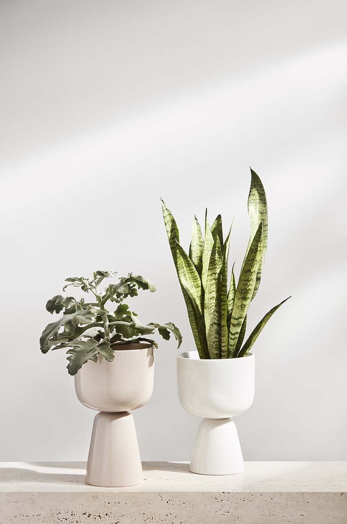 Γλάστρα Iittala Nappula 1052355 μπεζ AA00