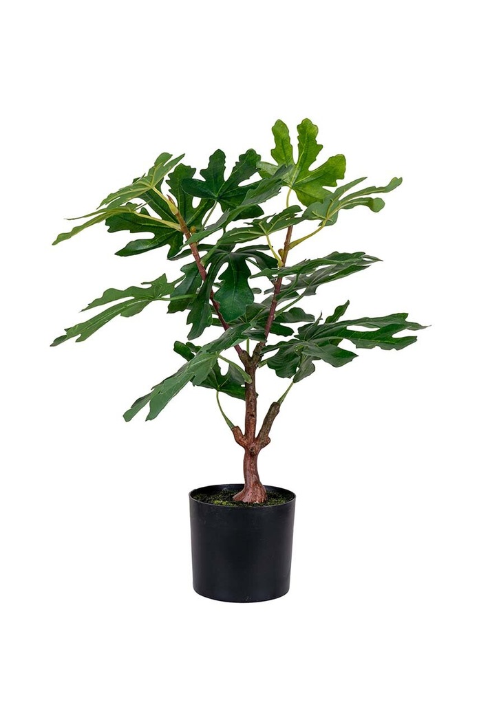 Изкуствено дърво в саксия House Nordic Fig tree многоцветен 9501110