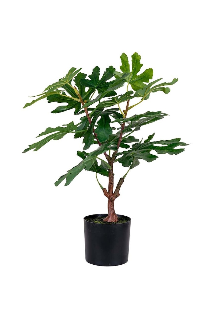 Изкуствено дърво в саксия House Nordic Fig tree многоцветен 9501110