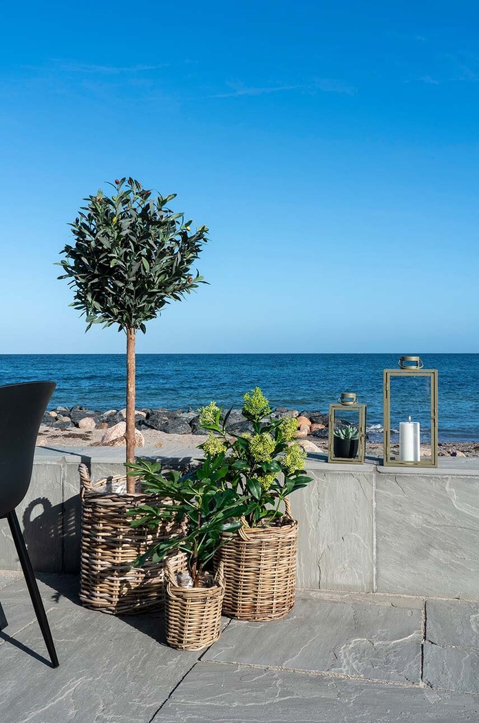 Изкуствено дърво в саксия House Nordic Fig tree 9501110 многоцветен