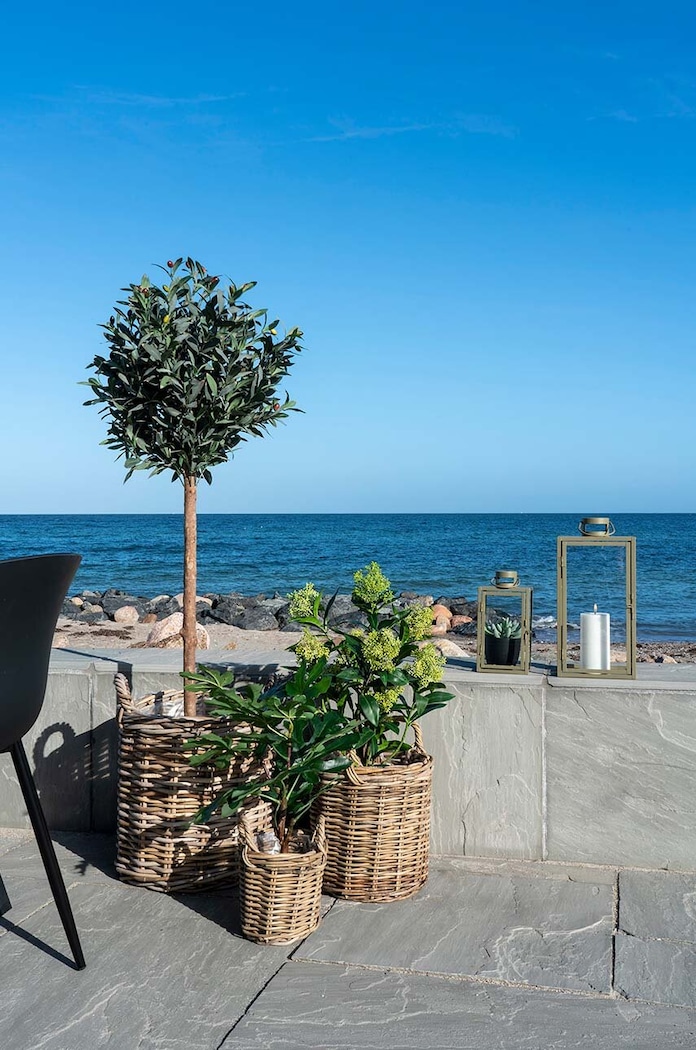 Изкуствено дърво в саксия House Nordic Fig tree 9501110 многоцветен