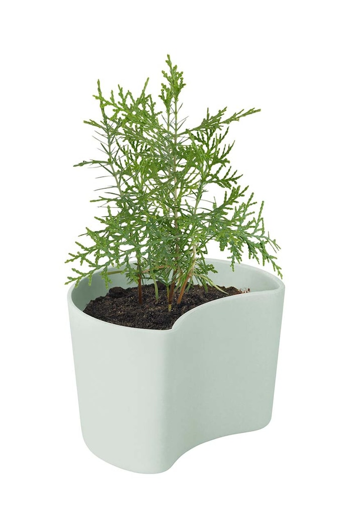 Kvetináč so semienkami Rig-Tig Your Tree Birch 9,5 x 8,3 x 7 cm Z00136.1 zelená AA00