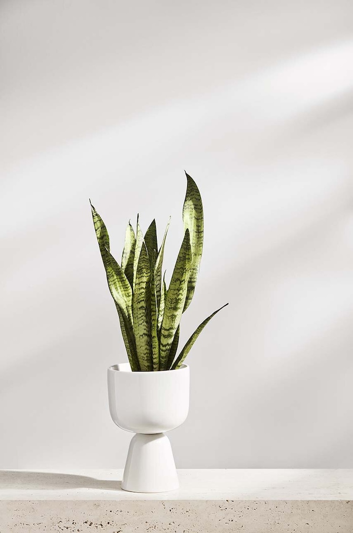 Iittala oala Nappula IT.1051509 alb AA00