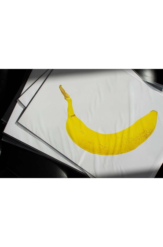 Plagát Donkey Banana viacfarebná 400625