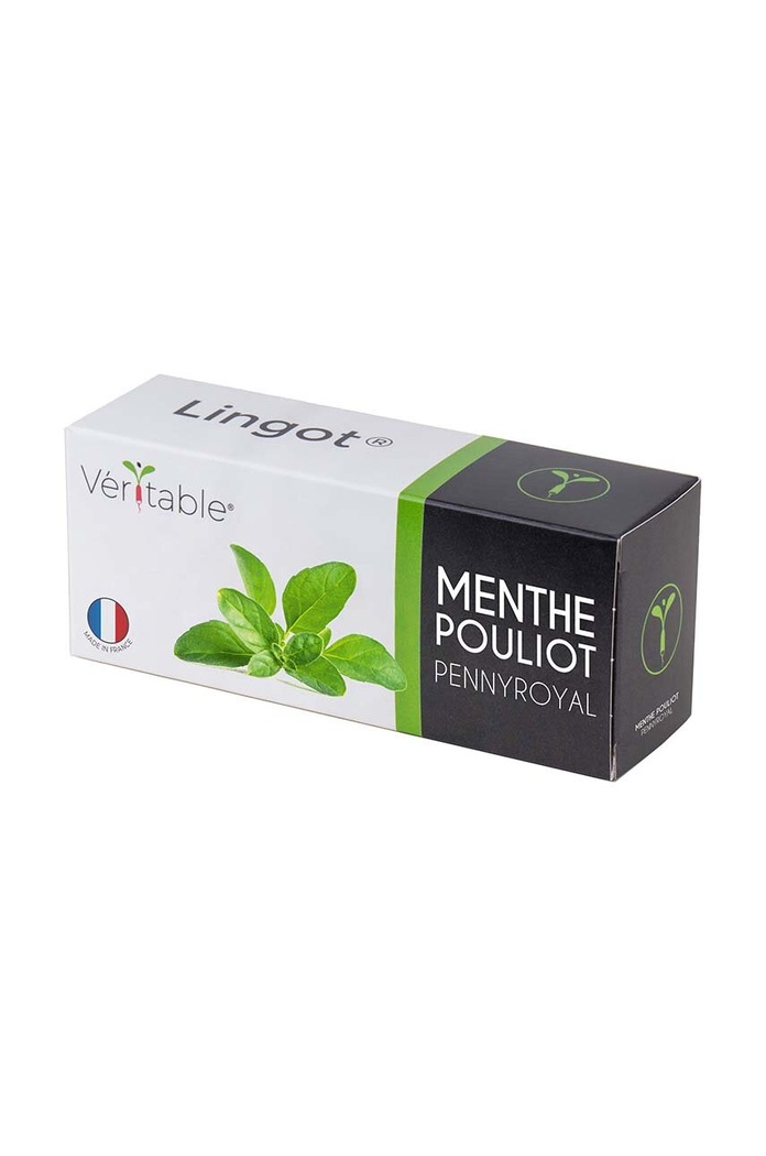 Veritable Insertie de seminte Mięta Pieprzowa multicolor VLIN.A10.Men04A