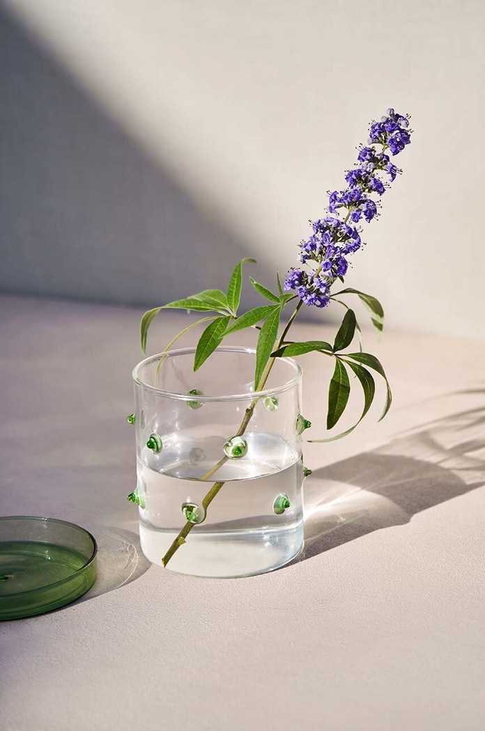 Δοχείο με καπάκι Octaevo Agave S OAGCS.20 πολύχρωμο AA00
