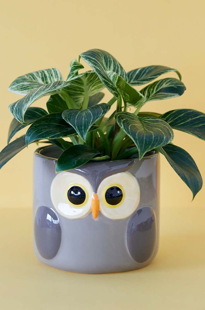 Obal na květináč Balvi Owl 11,7 x 13,5 cm 27678 šedá