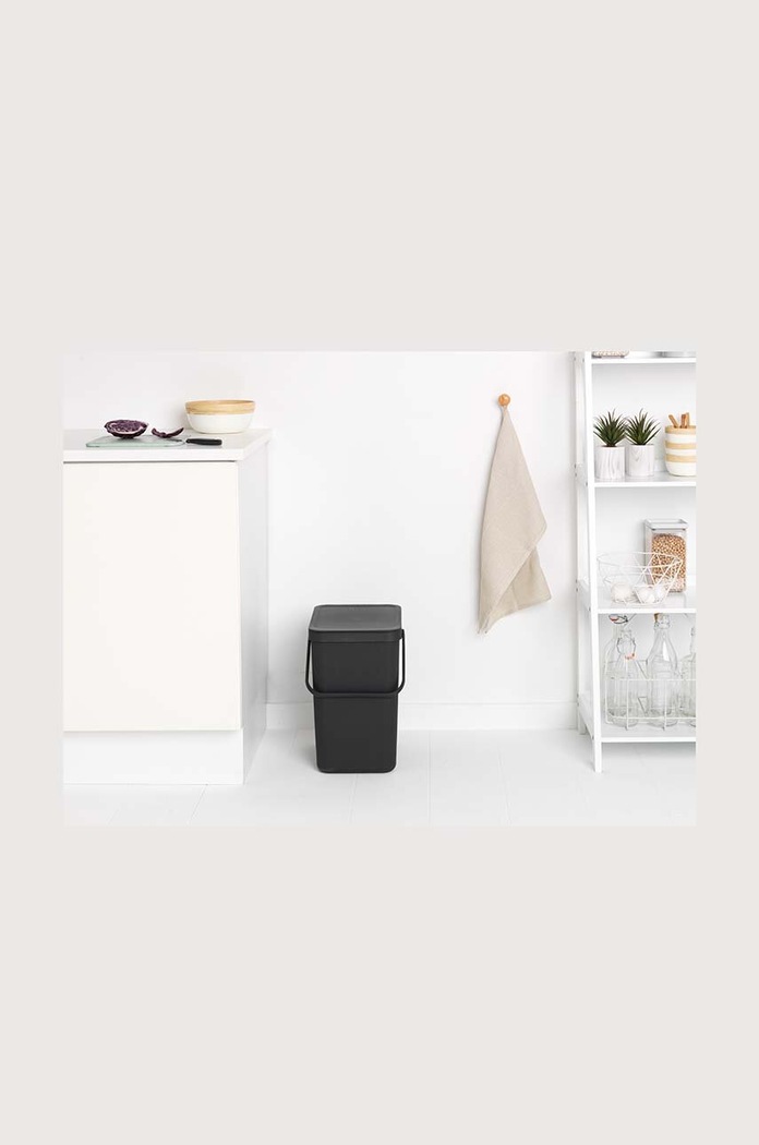 Brabantia cestino dei rifiuti Sort & Go 25 L 129940 grigio