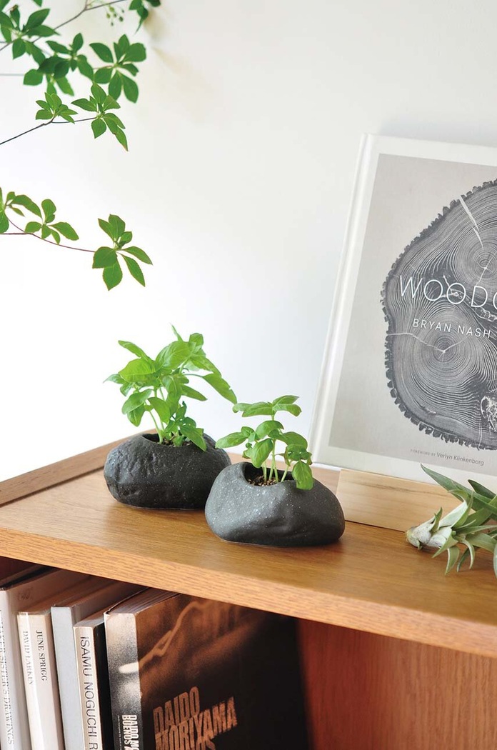 Комплект за отглеждане на растения Noted Plants Rock - Basil | ANSWEAR.bg
