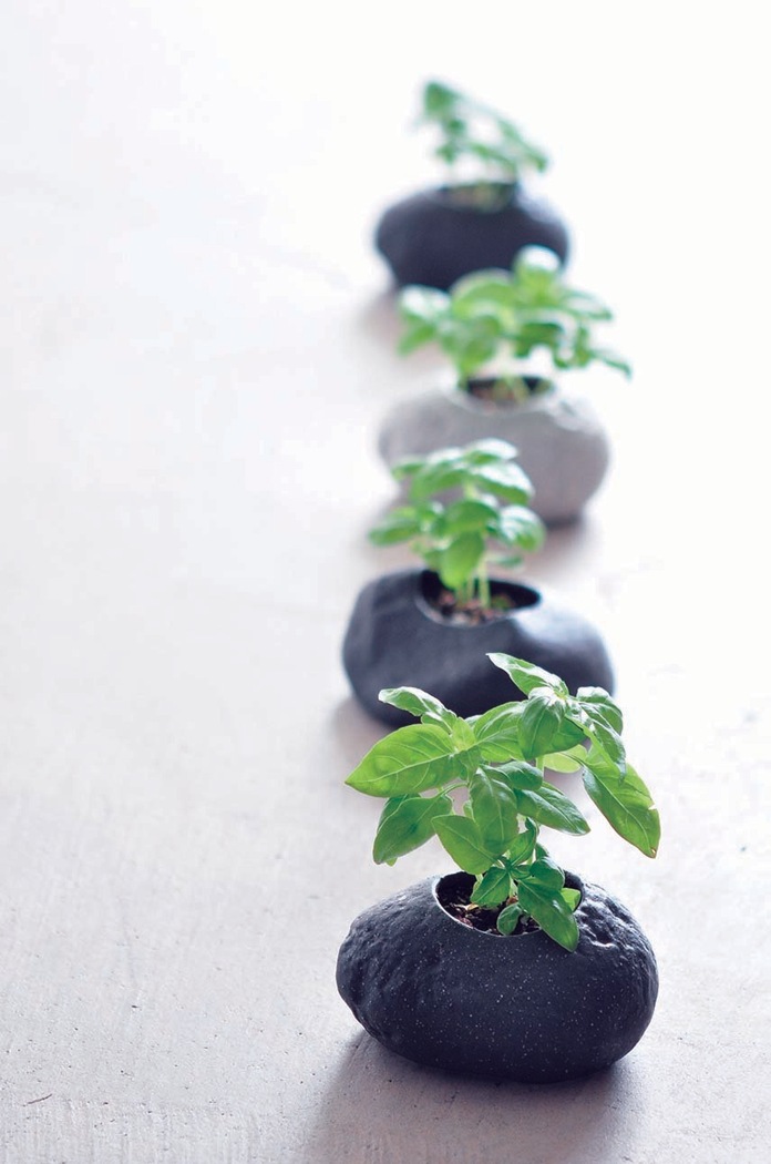 Комплект за отглеждане на растения Noted Plants Rock - Basil | ANSWEAR.bg