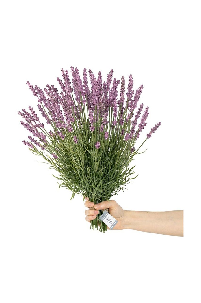 Ψεύτικα λουλούδια Lawenda 10-pack πολύχρωμο 4251838545461