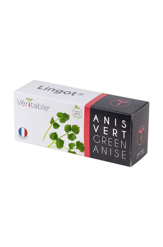 Veritable Inserție de semințe de anason 13 x 4 x 5 cm multicolor VLIN.O10.Ani045