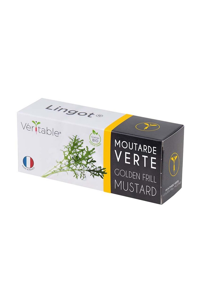 Semenná vložka brukve sítinovité Veritable 13 x 4 x 5 cm vícebarevná VLIN.J10.Mou01E