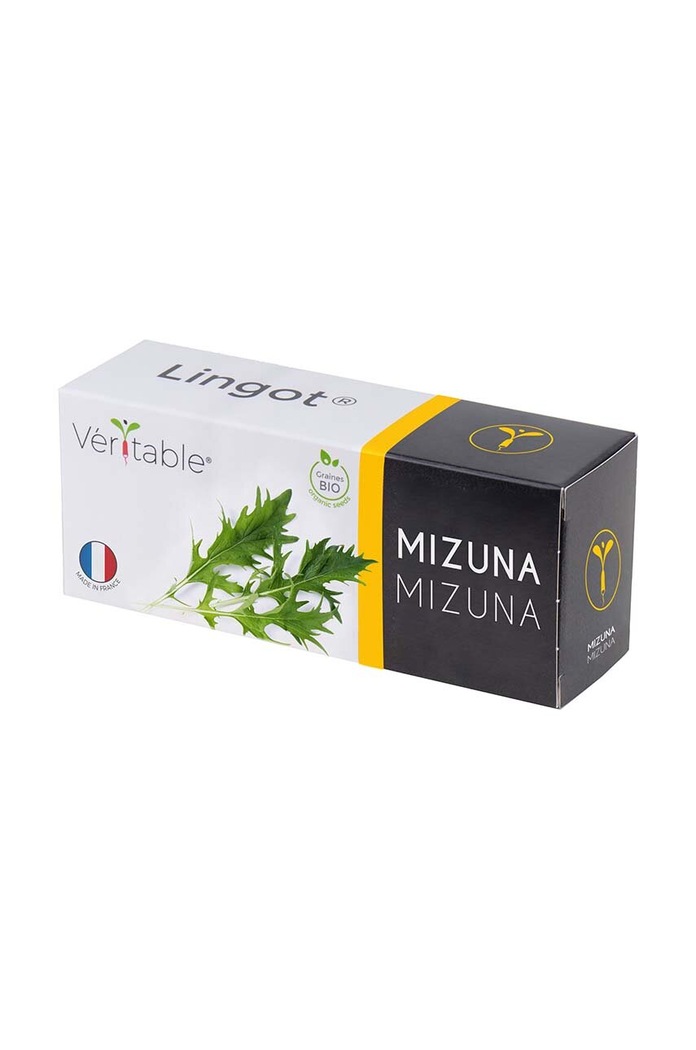 Veritable Insertie de seminte Mizuna multicolor VLIN.J10.Miz01F