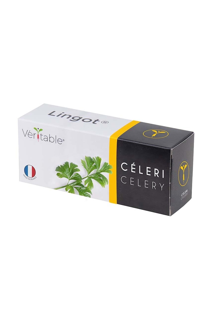 Veritable inserție de semințe de țelină 13 x 4 x 5 cm multicolor VLIN.J10.Cel02D