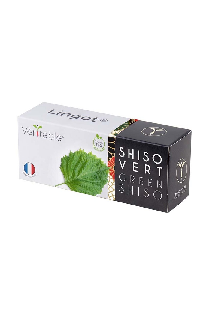 Veritable insertie de seminte Green Shiso multicolor VLIN.S5.Shi032
