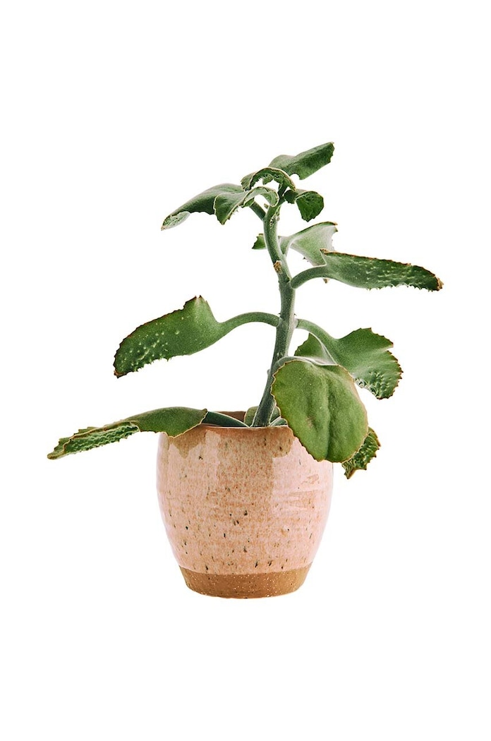 Madam Stoltz Osłonka na doniczkę Stoneware HY15639.16 różowy AA00