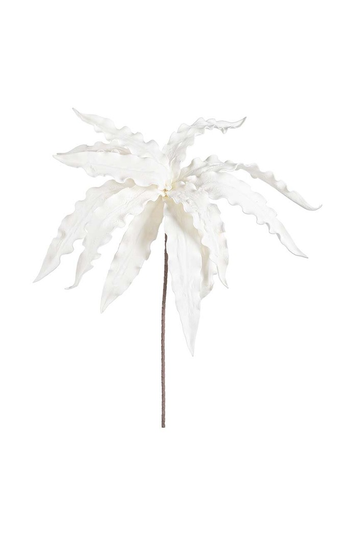 Dekorácia Bizzotto Variegated Aloe Banch biela 172718