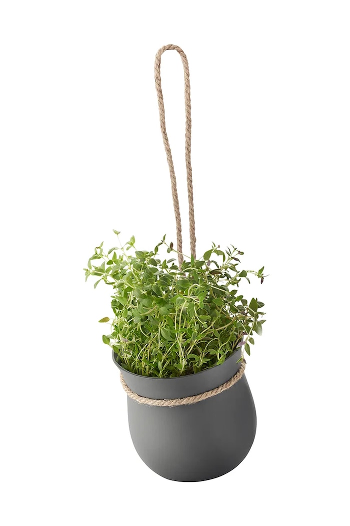 Posuda za začinsko bilje Rig-Tig Grow-It siva Z00130