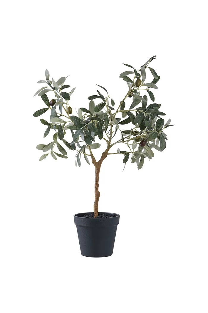 Umjetna biljka u lončanici House Nordic Olive Tree zelena 9501002