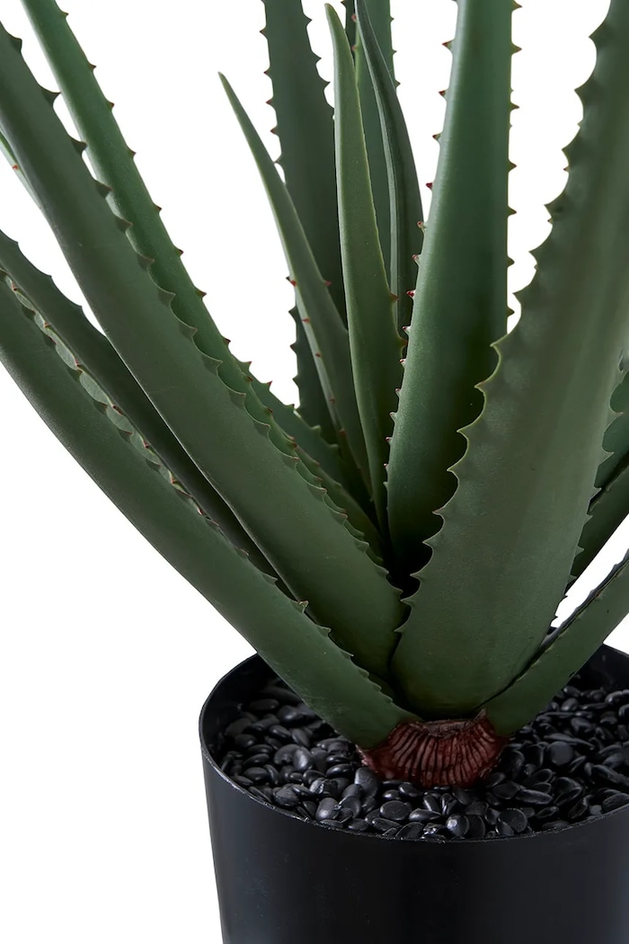 Umelá rastlina v kvetináči House Nordic Aloe Vera 9501001 zelená AA00