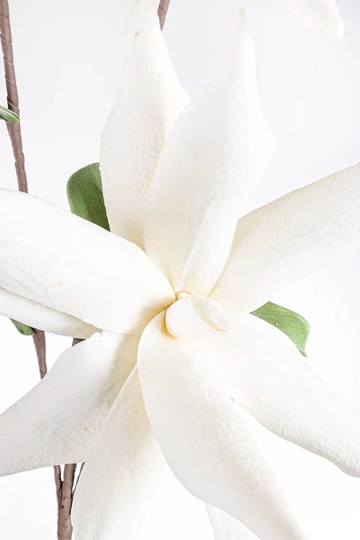 Изкуствено цвете Bizzotto White Aloe Chinesis 172716 бял AA00
