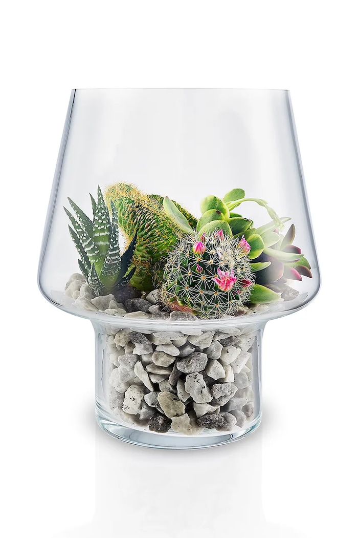 Dekorativní váza Eva Solo Succulent 21 cm 568188 průhledná AA00