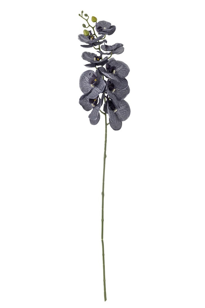 Ψεύτικα λουλούδια Bloomingville Orchid Stem 105 cm μωβ 82061538