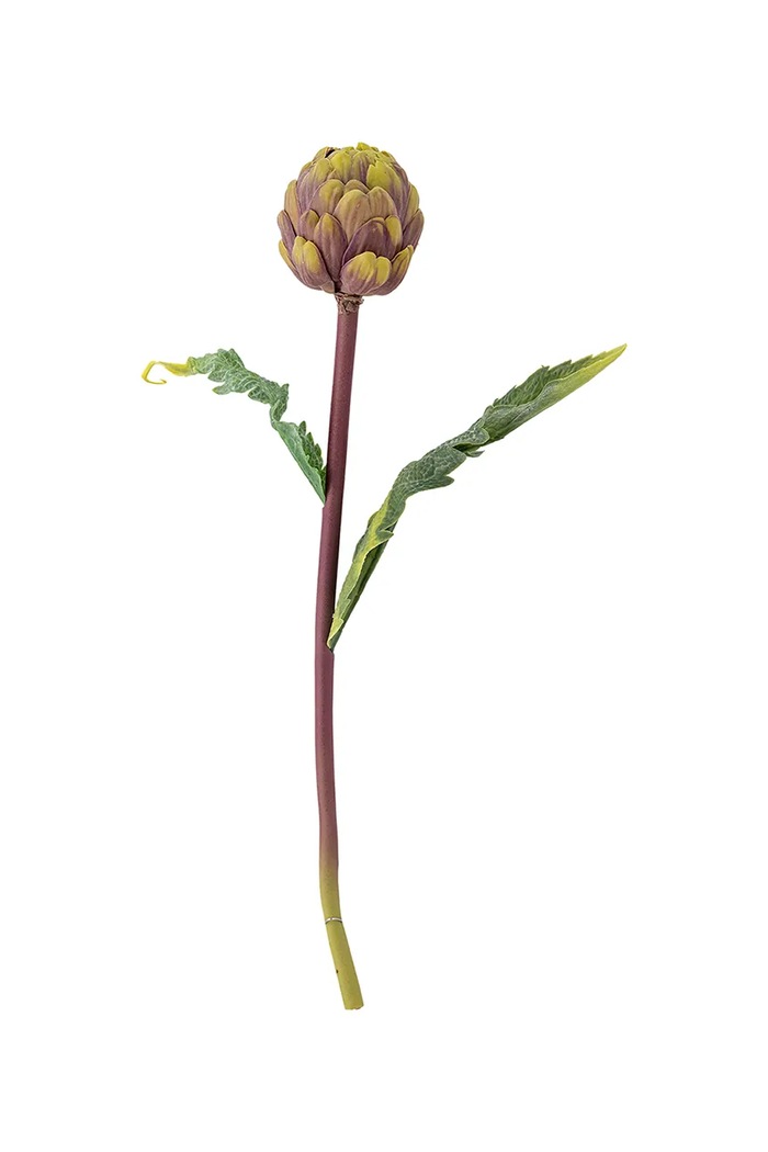 Bloomingville sztuczne kwiaty Protea Stem 54 cm multicolor 82061523