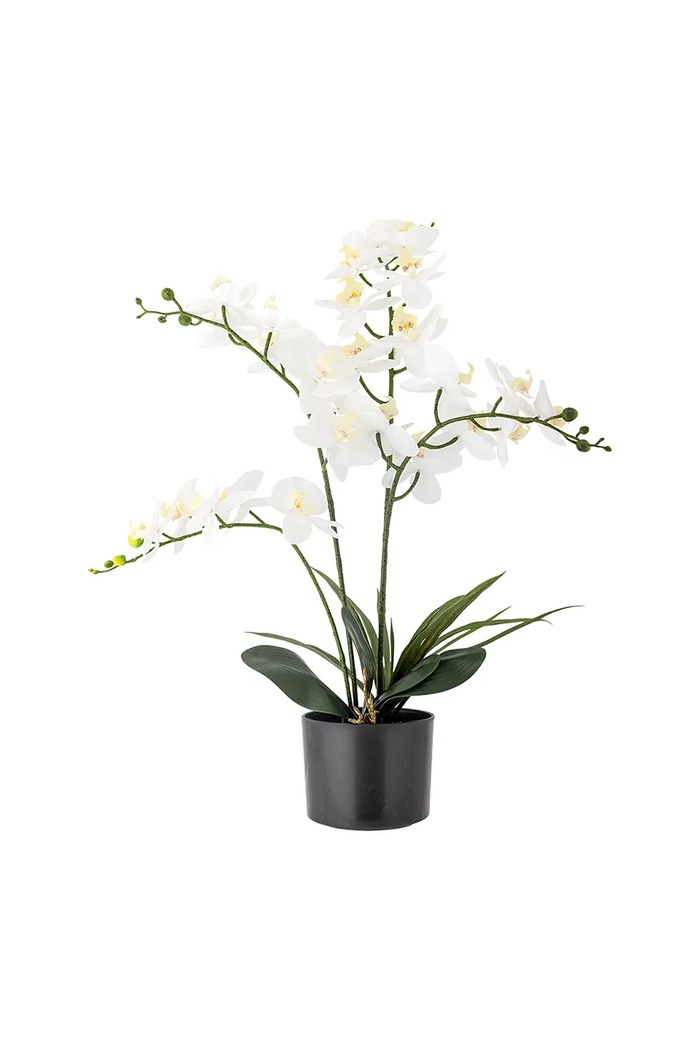 Τεχνητό φυτό σε γλάστρα Bloomingville Orchid Plant 84 cm πολύχρωμο 82061501