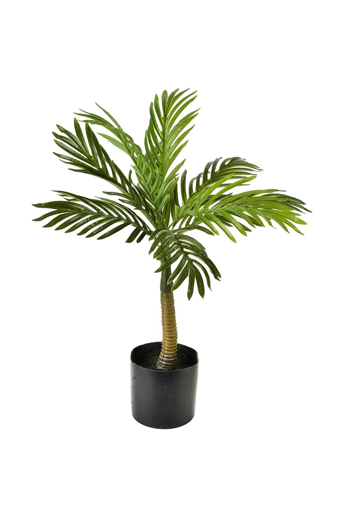 Pianta artificiale decorativa 15 x 15 x 60 cm verde HTQC2087