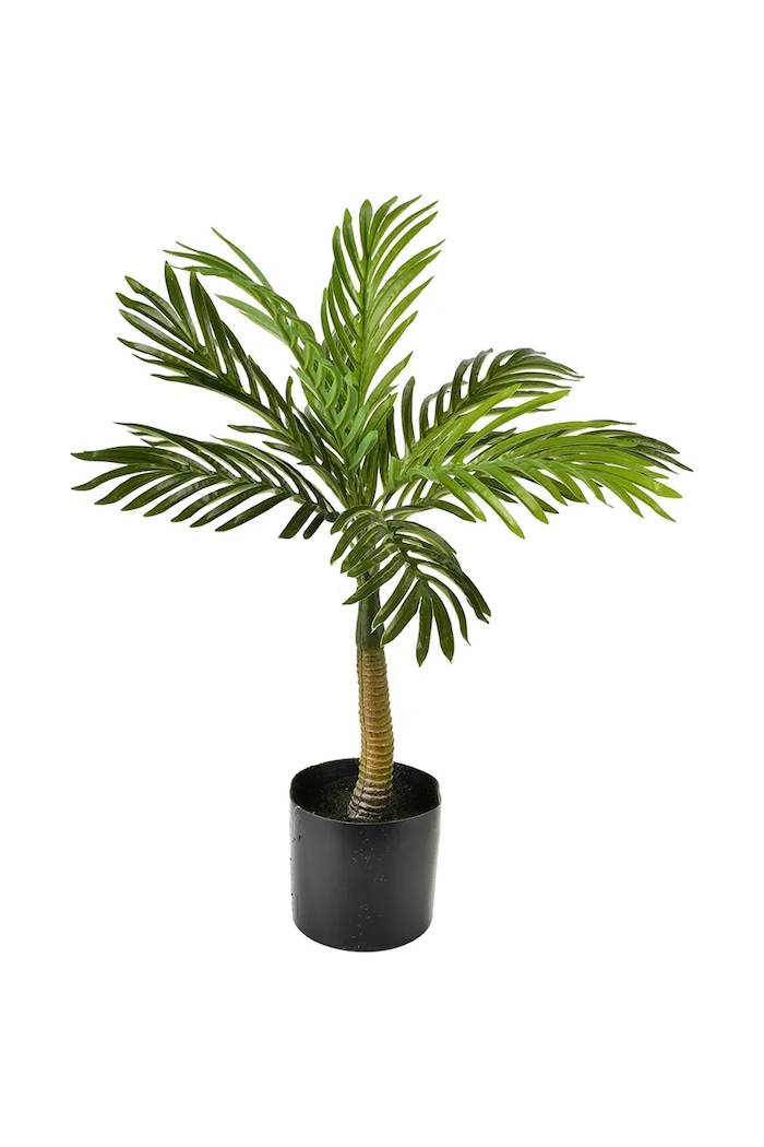 Pianta artificiale decorativa 15 x 15 x 60 cm verde HTQC2087