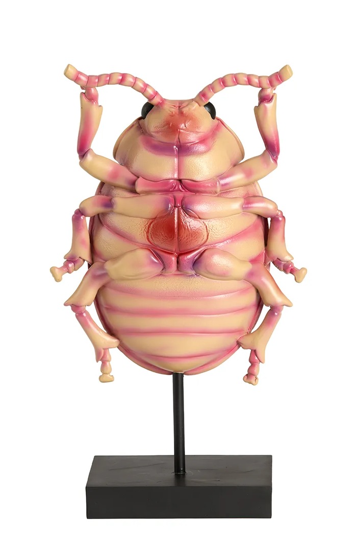 Light & Living figurka dekoracyjna z tworzywa sztucznego 22 x 12 x 42 cm 7619789 multicolor AA00