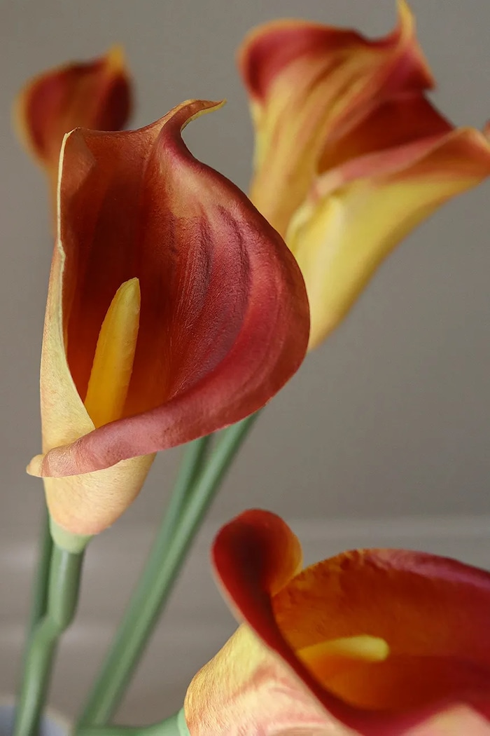 Sztuczny bukiet dekoracyjny 67 x 10 cm Botané BOT.FA26.BOU.014 pomarańczowy