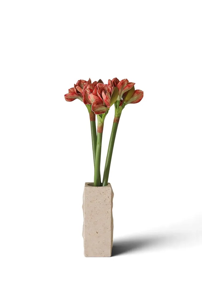 Botané Sztuczny bukiet dekoracyjny 73 x 20 cm czerwony BOT.WI26.BOU.017