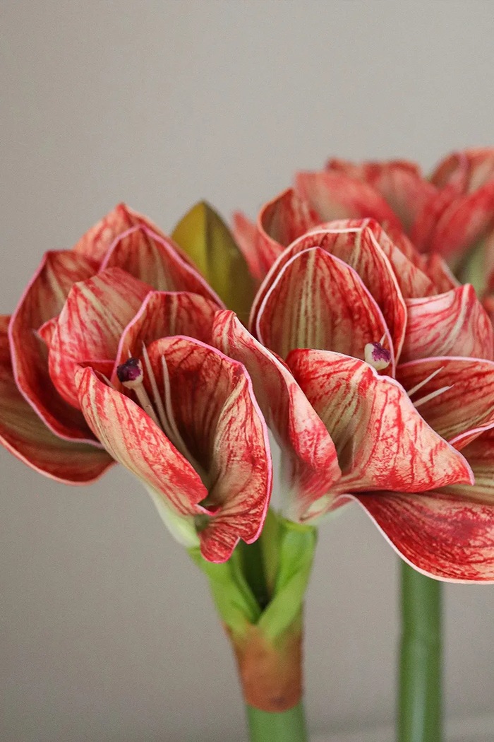 Sztuczny bukiet dekoracyjny 73 x 20 cm Botané BOT.WI26.BOU.017 czerwony