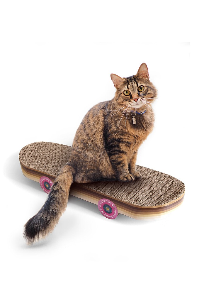 Življenjski slog Drevo za mačke Luckies of London Skateboard SK.CATSKATE1 pisana
