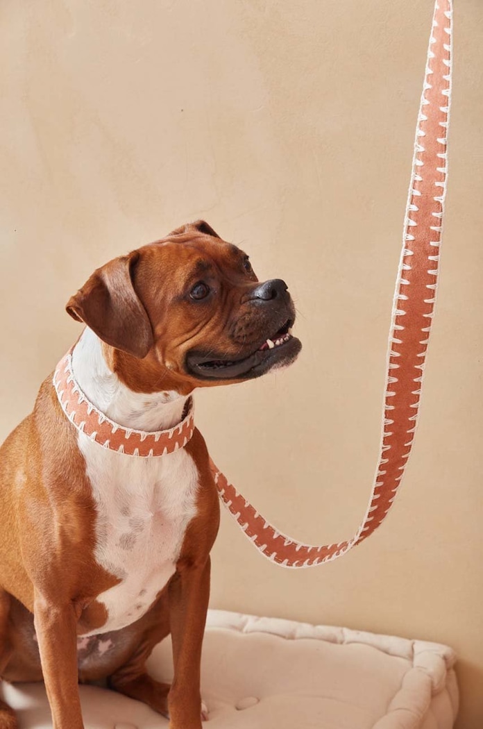 Лайфстайл Повод за куче Calma House Hamza HAMZA.DOG3.COR оранжев