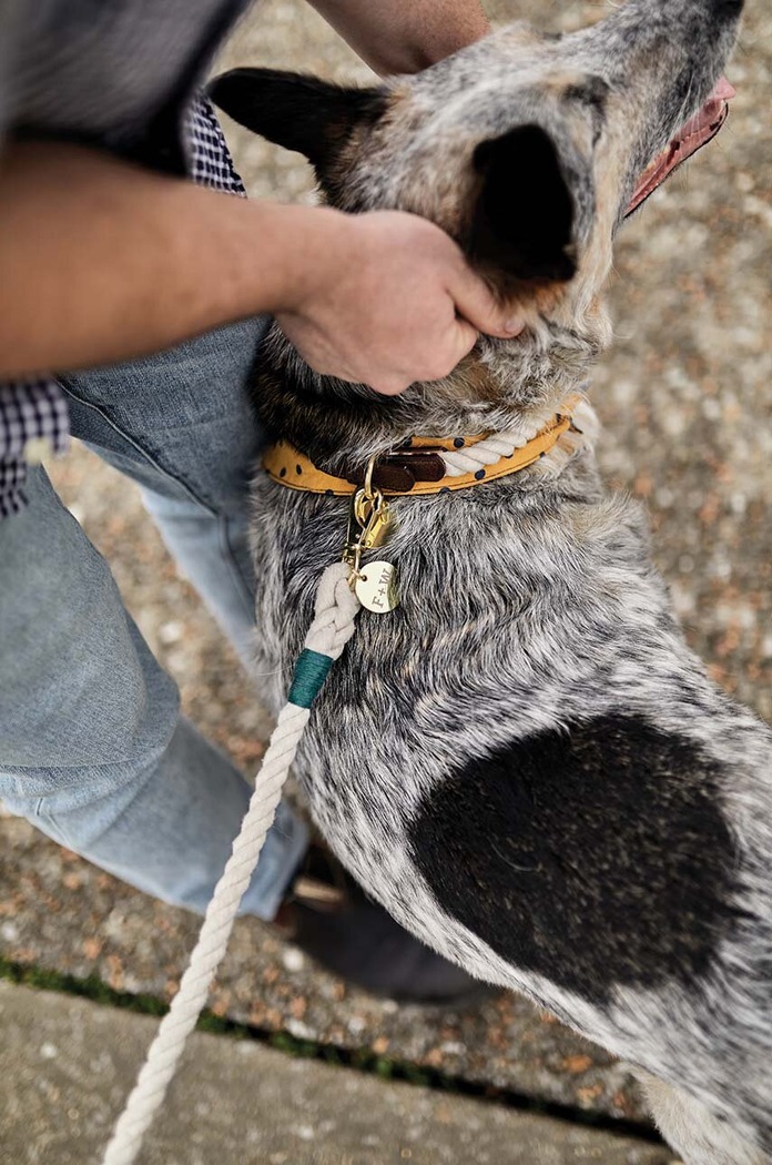 Lifestyle Field + Wander smycz dla psa Rope Leash FAW011UK beżowy