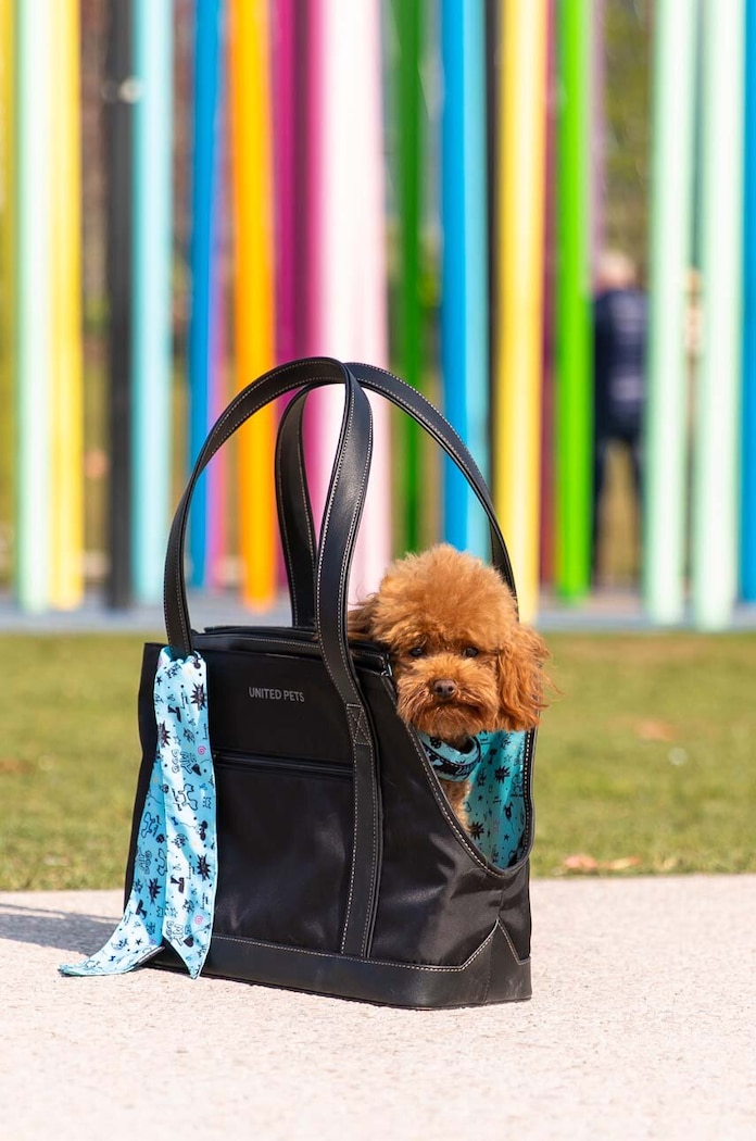 Nosič pro domácí mazlíčky United Pets Up Bag GP1301NF vícebarevná