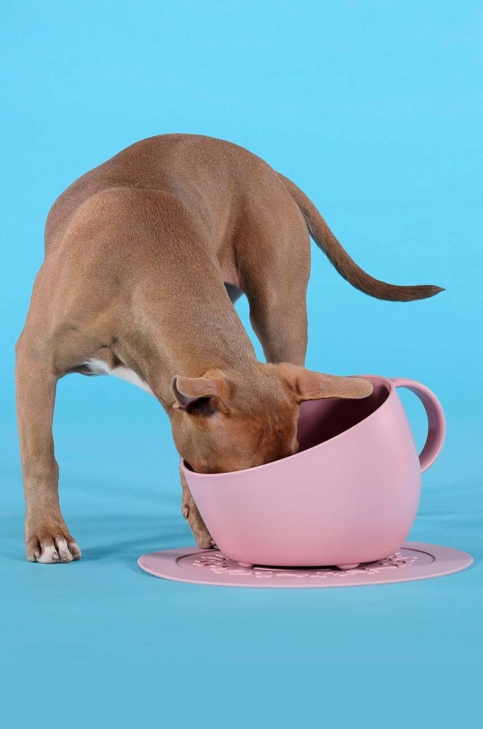 United Pets kutyatál Cup Dog GV0102RO20 rózsaszín AA00