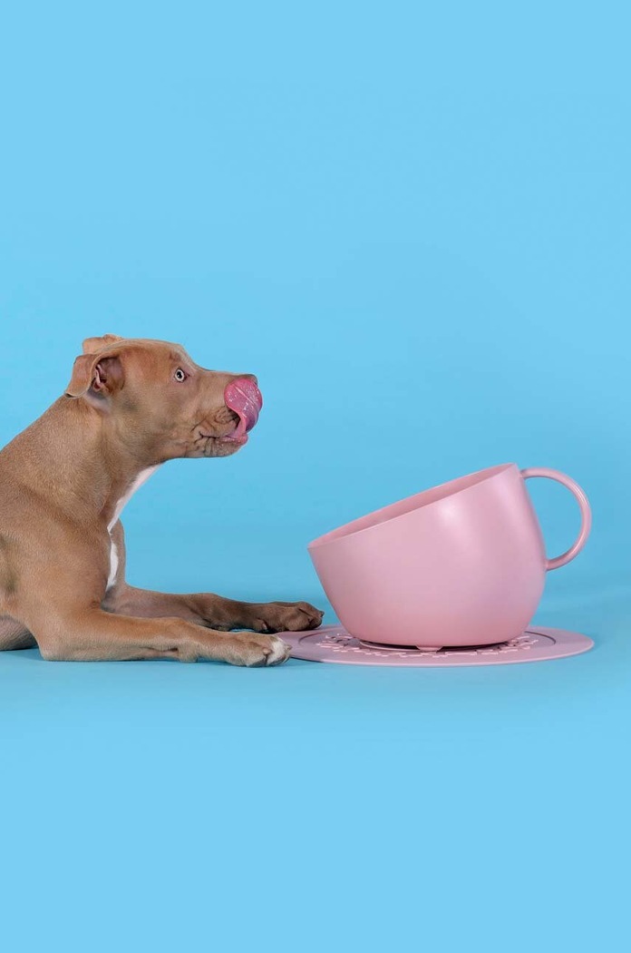 Lifestyle United Pets kutyatál Cup Dog GV0102RO20 rózsaszín