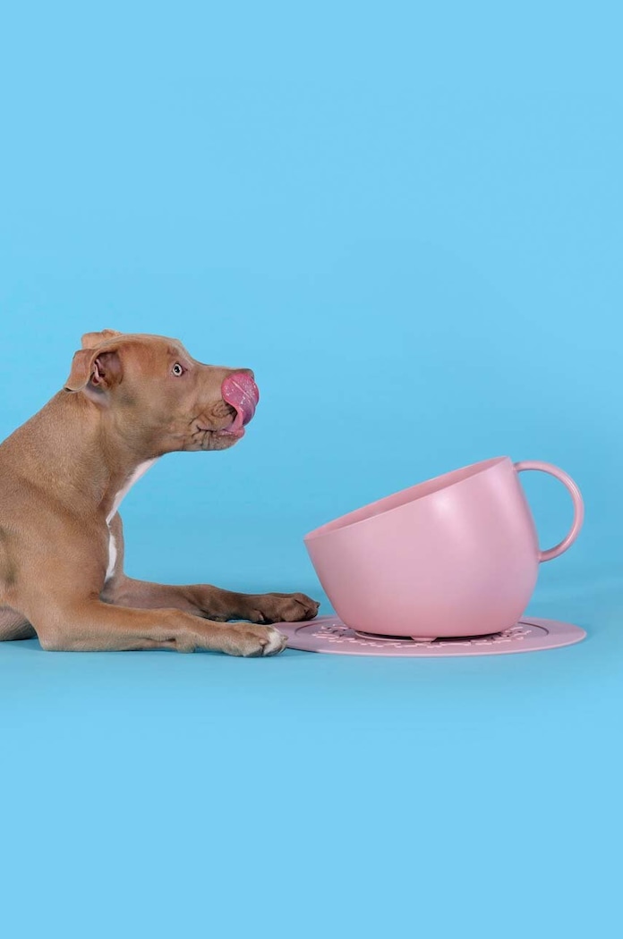 Lifestyle United Pets kutyatál Cup Dog GV0102RO20 rózsaszín