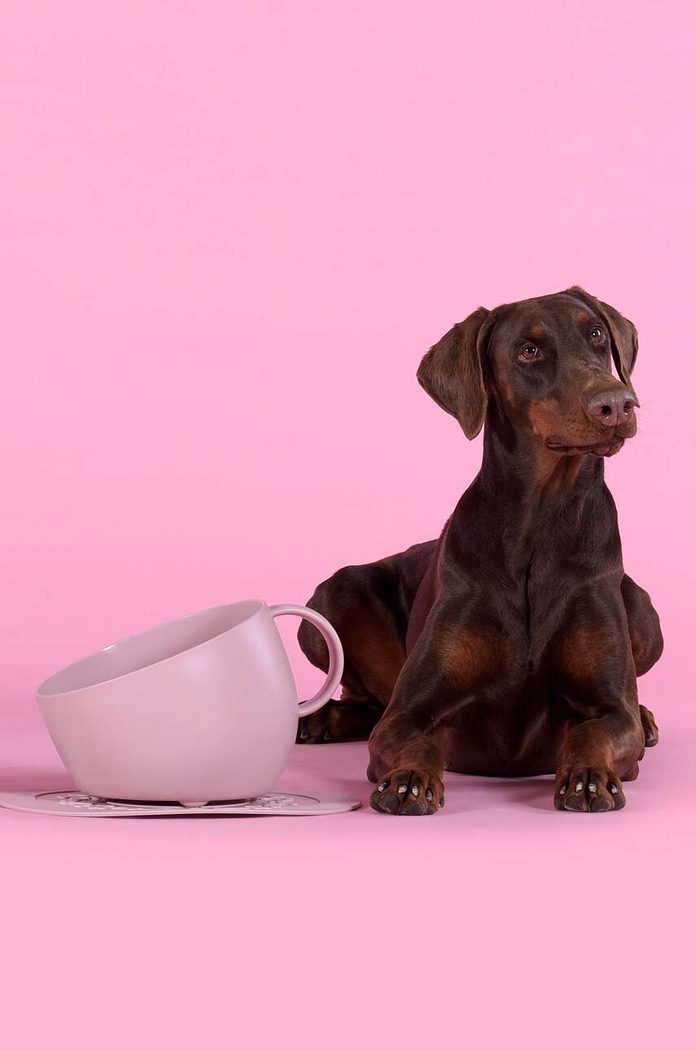 United Pets kutyatál Cup Dog rózsaszín GV0102RO20