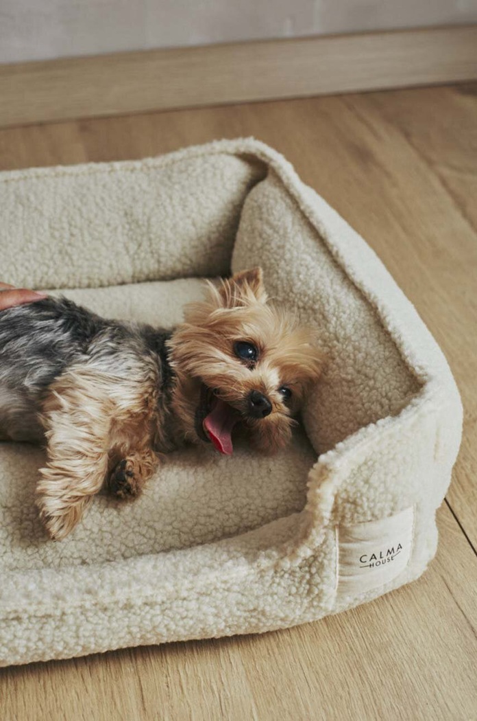 Calma House legowisko dla pupila Henry HENRY.DOGS.CRU beżowy AA00