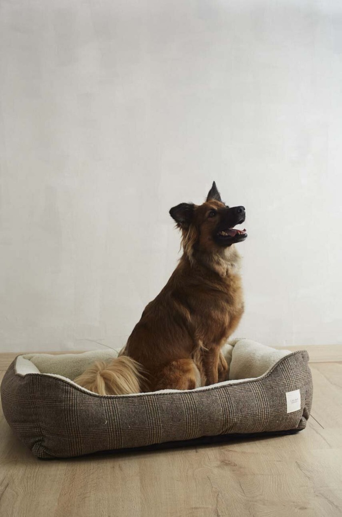 Calma House Pat pentru animale de companie Scott multicolor SCOTT.DOGL.MRR