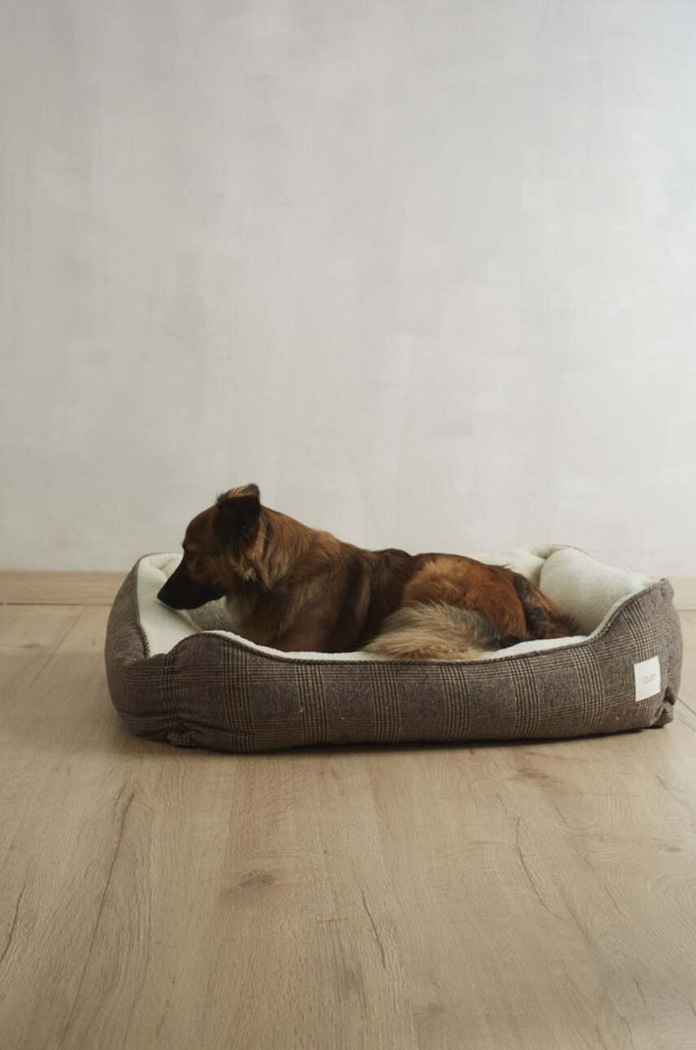 Calma House Pat pentru animale de companie Scott SCOTT.DOGL.MRR multicolor AA00