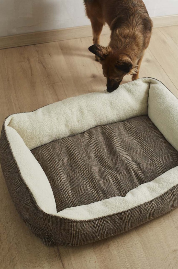 Lifestyle Calma House Pat pentru animale de companie Scott SCOTT.DOGL.MRR multicolor