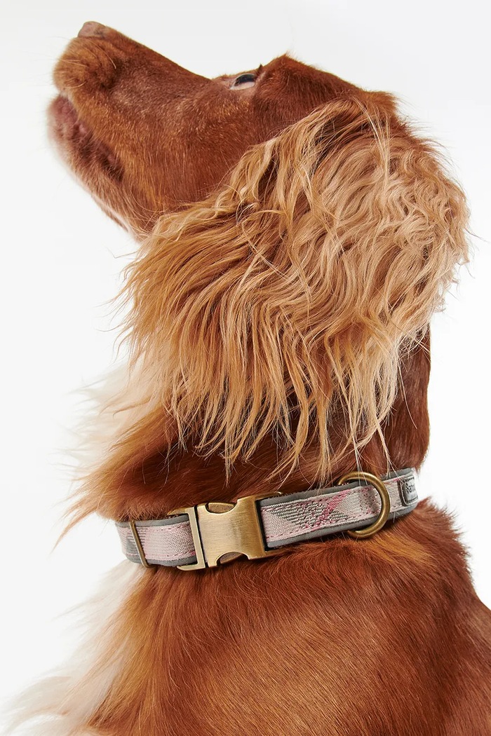Аксесуари Нашийник для собаки Barbour DAC0052TN11 барвистий